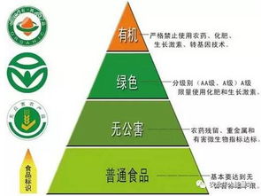 政策重磅！決定農(nóng)化行業(yè)未來(lái)十年走向的國(guó)家級(jí)政策與人工智能雙創(chuàng)服務(wù)平臺(tái)