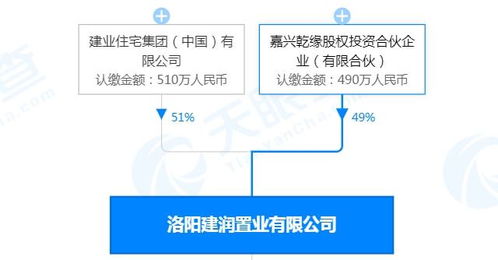 洛陽王城橋北cbd建業洛神廣場,背后 靠山 實力雄厚